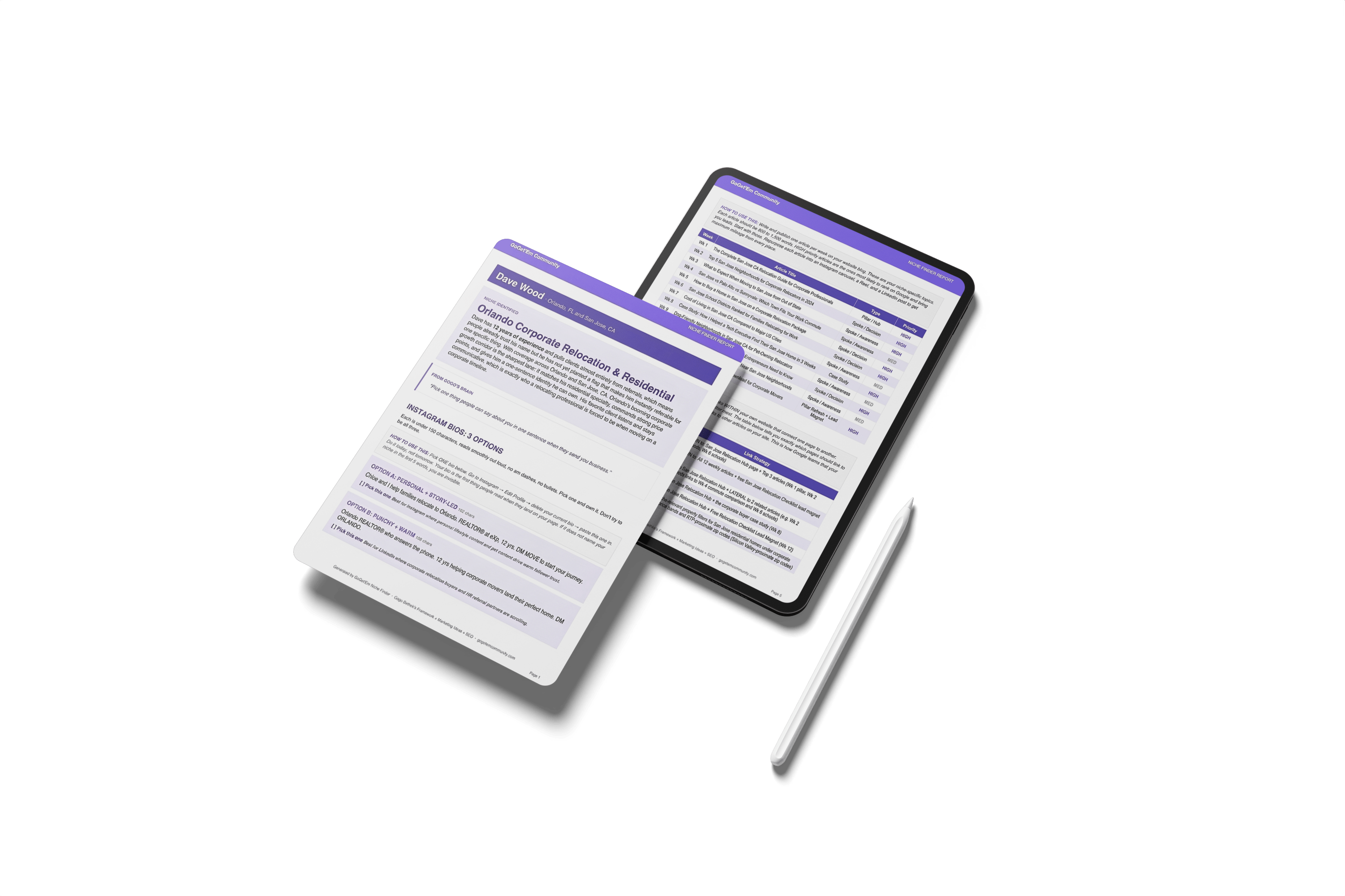 GoGet'Em Niche Package Report on tablet